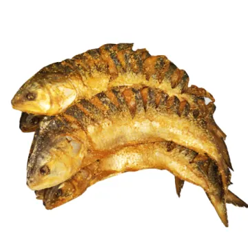 Ilish Shutki
